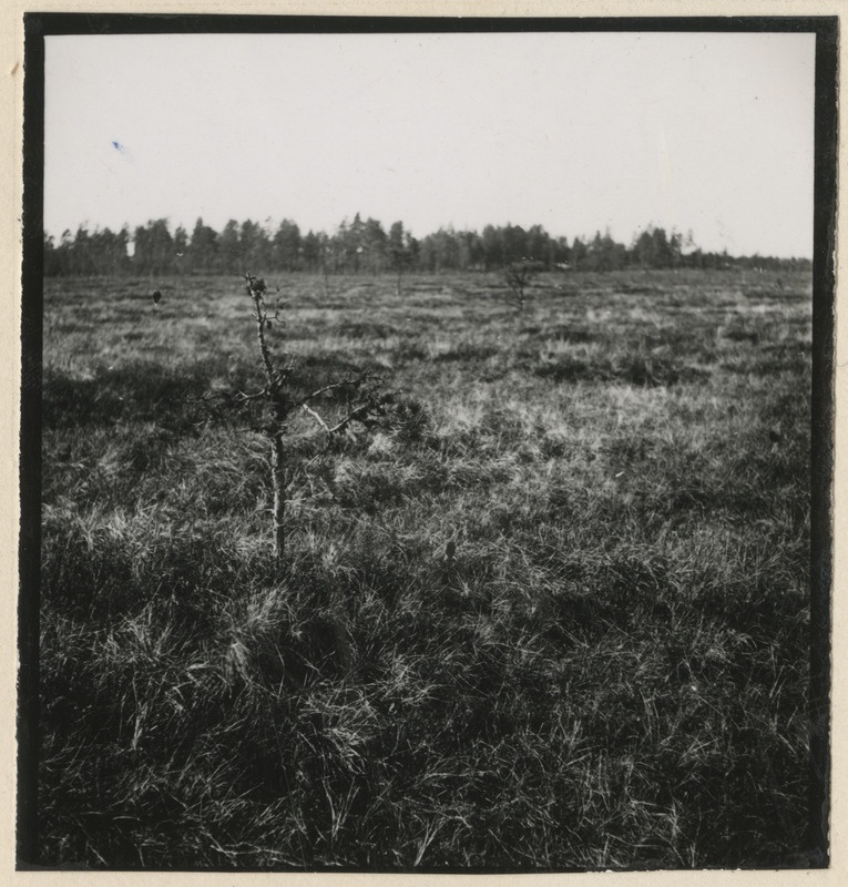 Ropazi soo Riiast idas