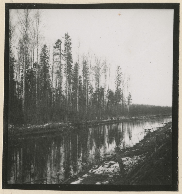 Vaated maastikule Puhatu soostikus - märgalad, kanalid