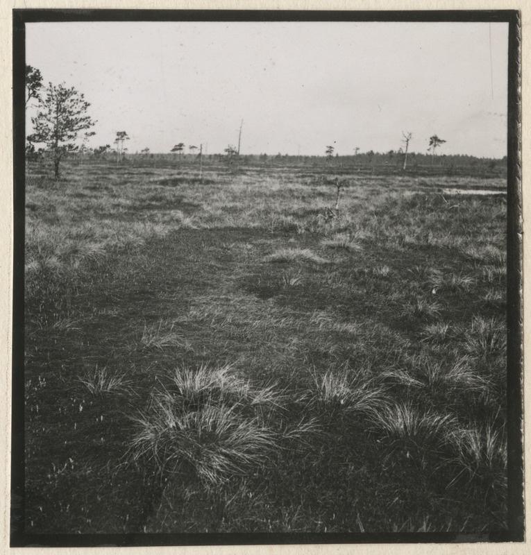 Sood ja rabad Ahtmes