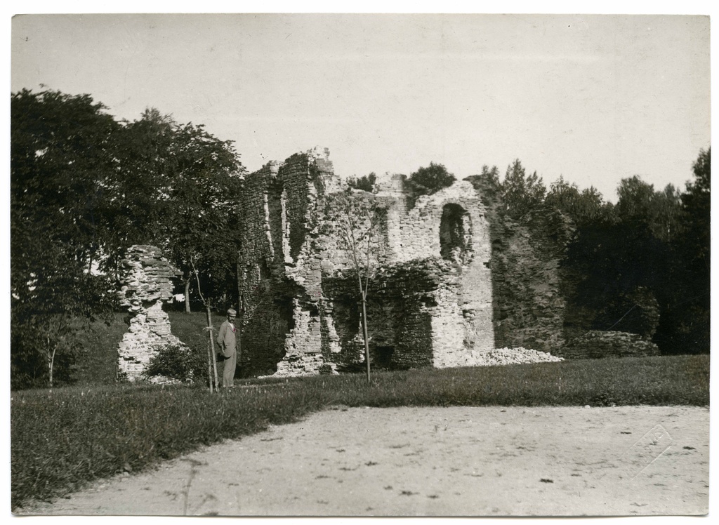 View of the ruins of the round N Tower of the castle from S at the end of the 19th century