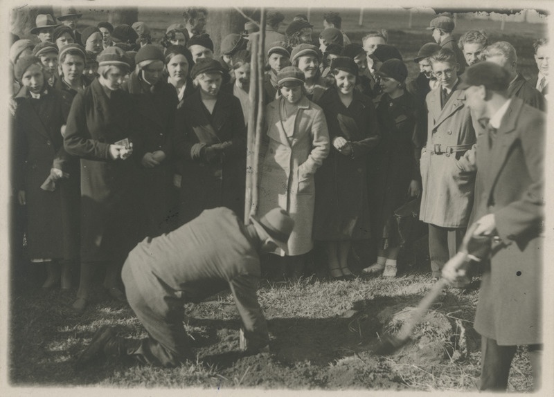 Pedagoogiline pere tamme istutamisel