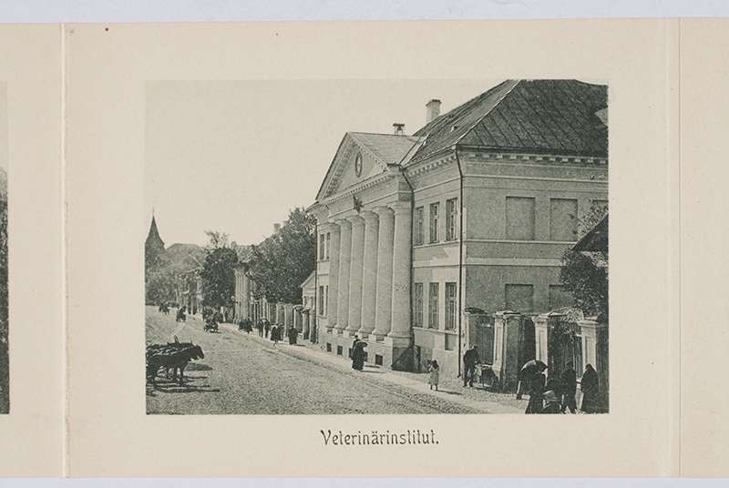 Tartu veterinaarinstituut