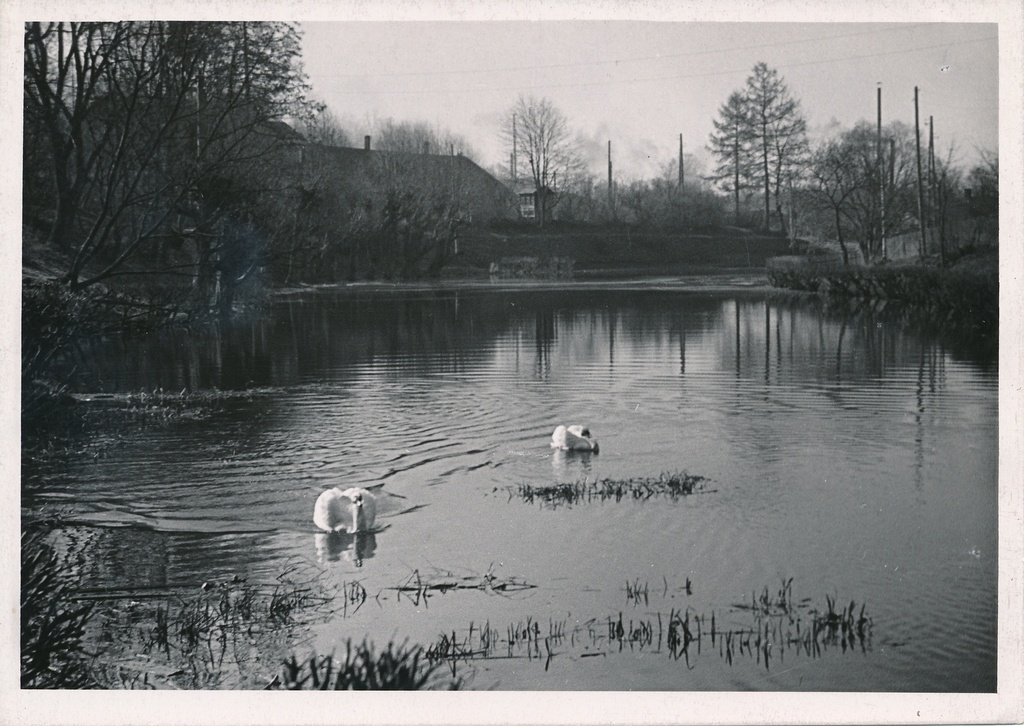 foto Viljandi Valuoja Suurtiik, 2 luike 1960 F A.Kiisla