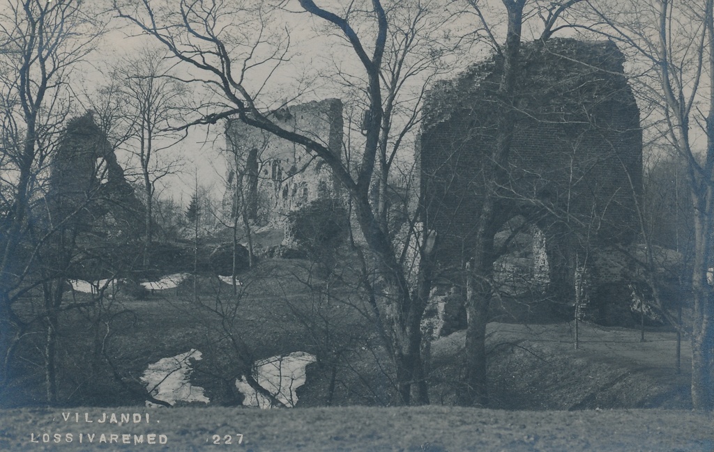 foto, Viljandi, lossimäed - Kaevumägi u 1920 F J.Riet
