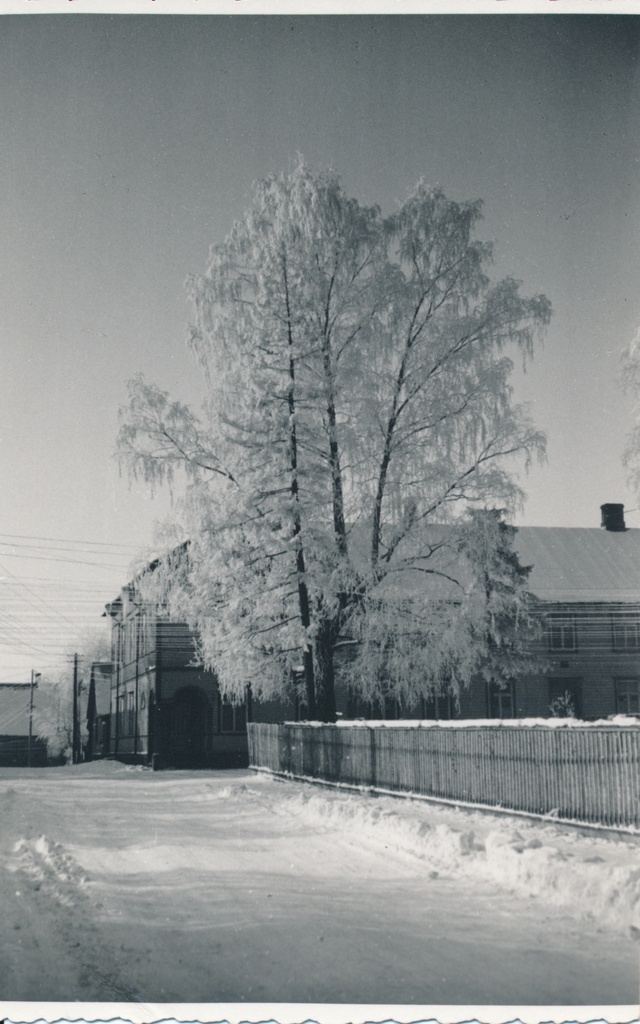 foto, Viljandi, Kooli tänav 1957 F H.Riet