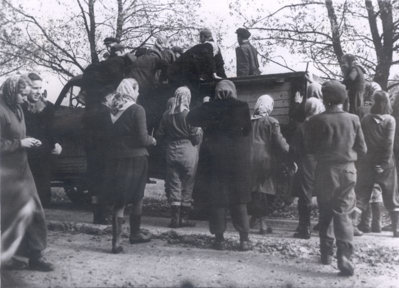 Foto. Piirsalu 7.-a. Kooli õpilased alustavad sõitu kolhoosi tööle. 1957. a.  Asub HM 7623.