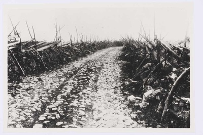 Püstandaedadega "tänav"   Kohatu külas Märjamaal  duplicate photo