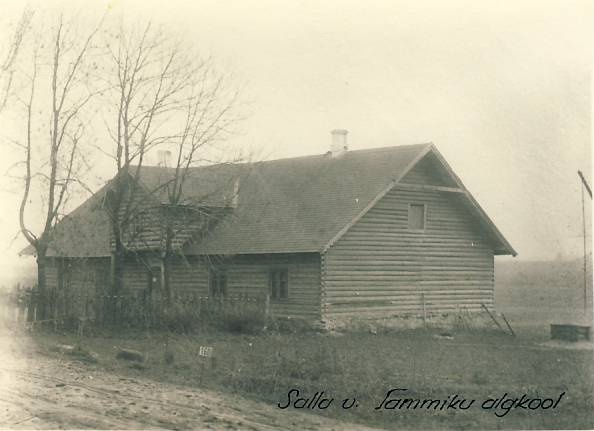 Tammiku algkool Salla vald