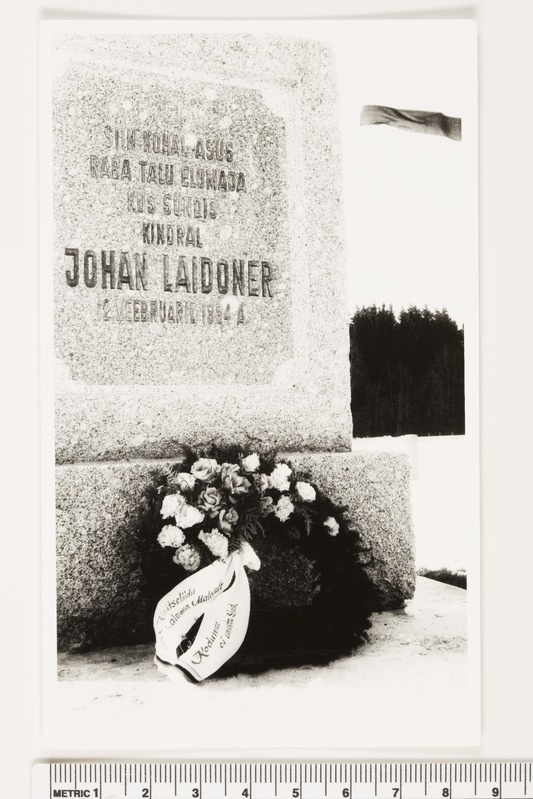 Raba talu tähis, 1992