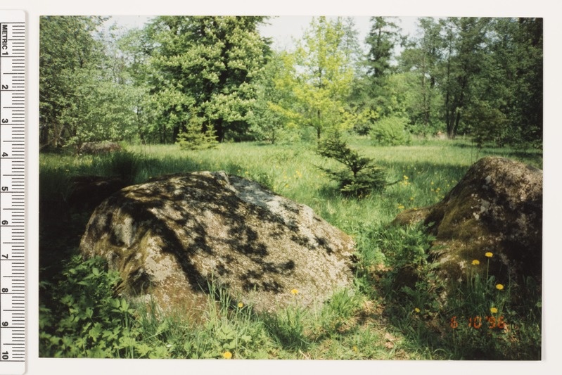 Viimsi mõisa park