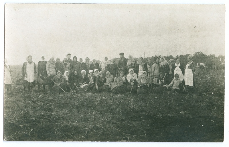 Foto. Kartulivõtjad Lihulas. Mustvalge.