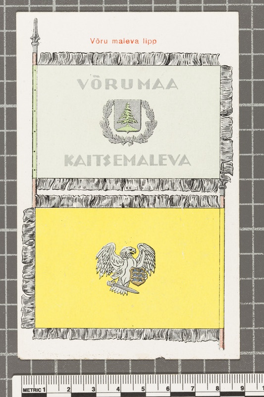 Kaitseliidu Võru maleva lipp