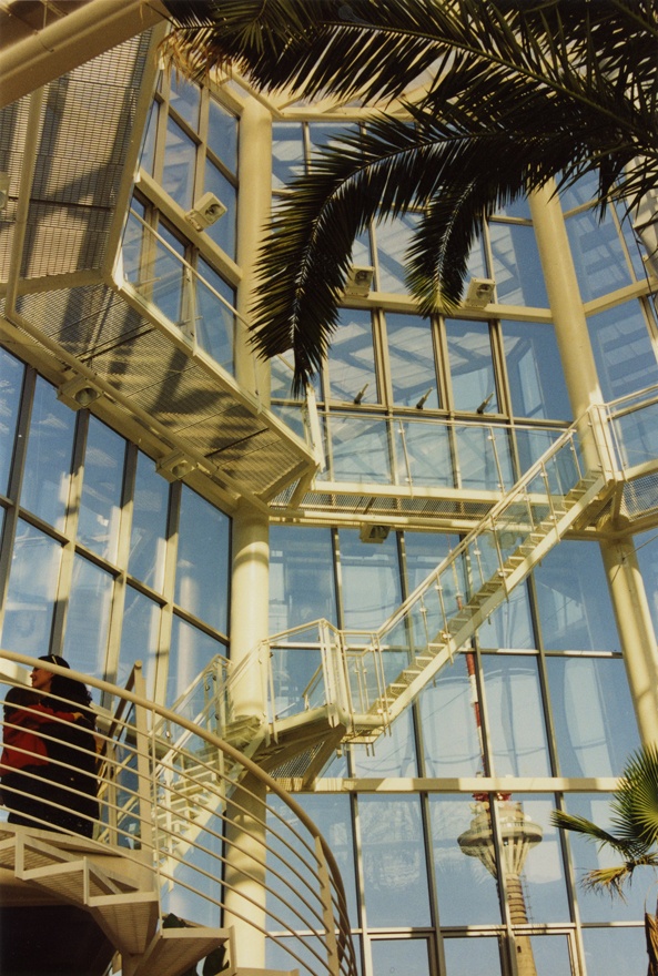 Tallinna Botaanikaaia rekonstrueeritud palmihoone, panoraamvaade. Arhitektid Vilen Künnapu, Ain Padrik, Arne Maasik