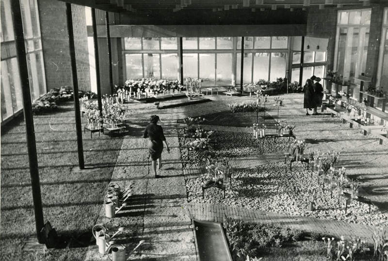 Lillepaviljon Tallinnas, sisevaade. Arhitekt Valve Pormeister, sisearhitektid Vello Asi, Väino Tamm