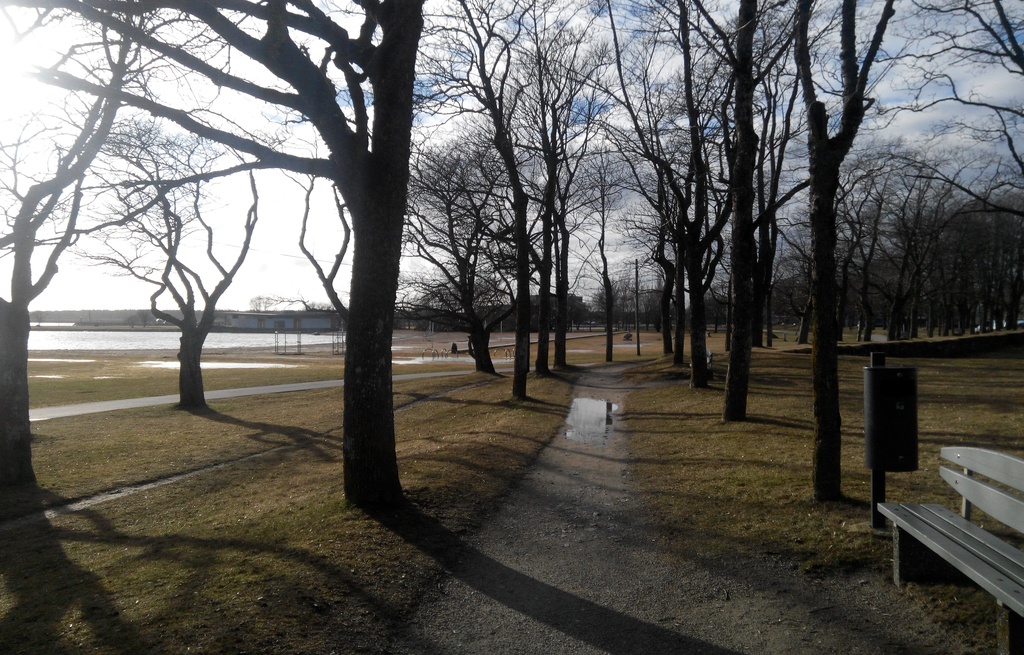 Kuressaare rand, vaade puiesteele, taamal jalutajad lastega rephoto