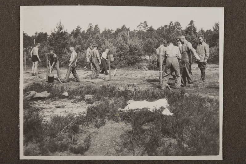 Major Erich Möldre fotoalbum