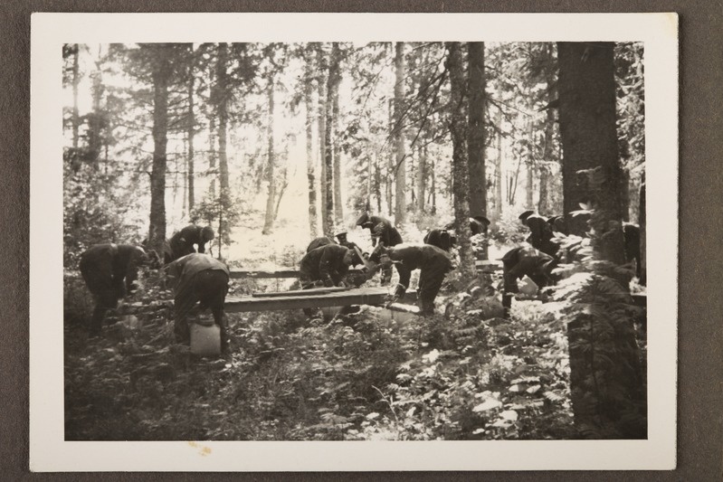 Major Erich Möldre fotoalbum