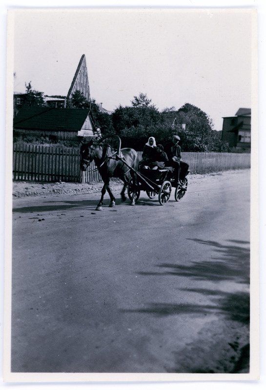 Perekond hobuvankris, taustal Pirita kloostri varemed