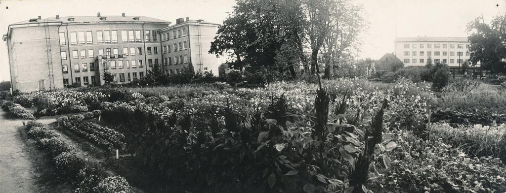 Foto. Võru I Keskkooli katseaed Pioneeride tn. 12 õppehoone taga 1970.a. algul.