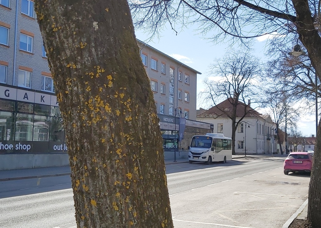 View of the street rephoto