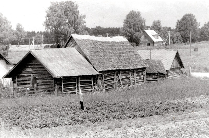 Majad Sesniki külas