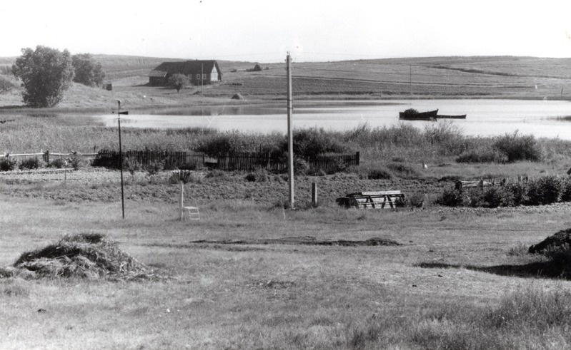 Lisje küla vaade Pihva järve ääres