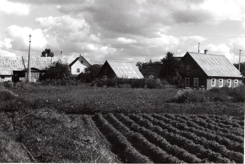 Lisje küla vaade