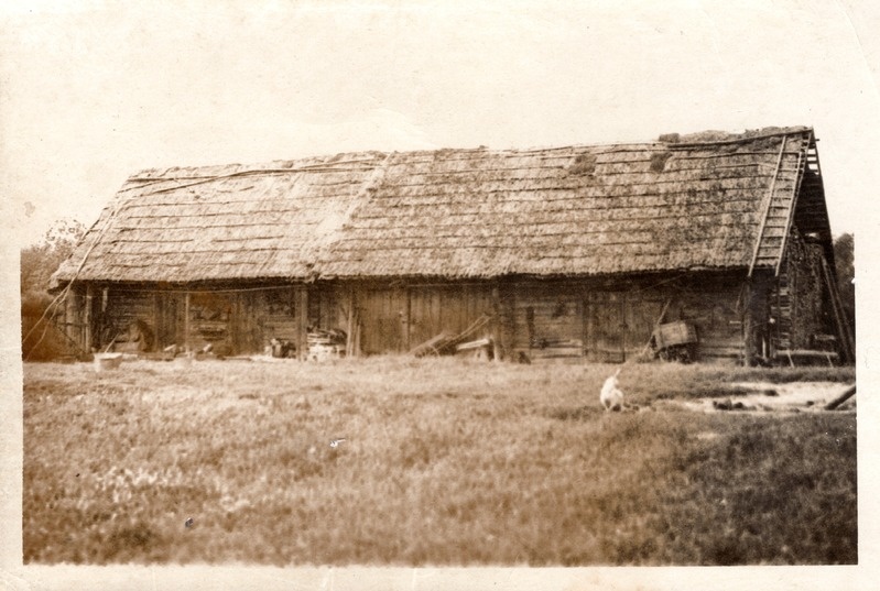 Riitsare elamu Suure- Rääptsova külas. Ait ja kuur