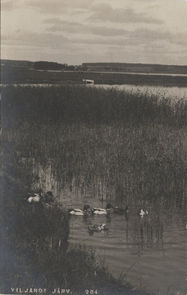 Lake Viljandi