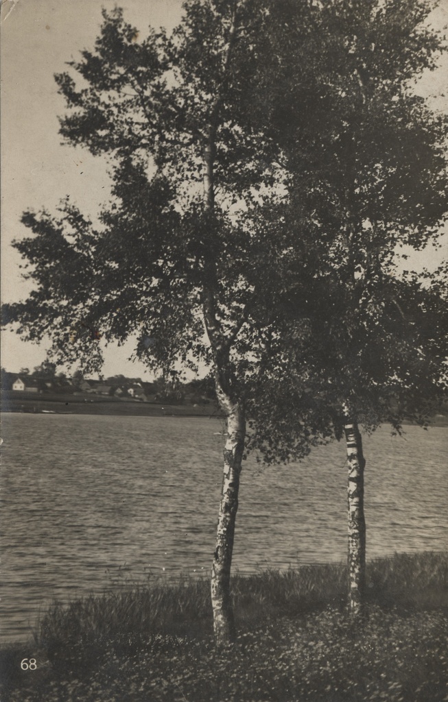 [Lake of Viljandi]