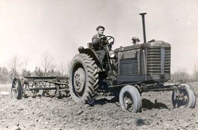 Saue MTJ traktorist kultiveerimas  duplicate photo