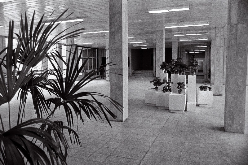 Ed. Vilde nim. Tallinna Pedagoogilise Insituudi uue õppehoone fuajee.