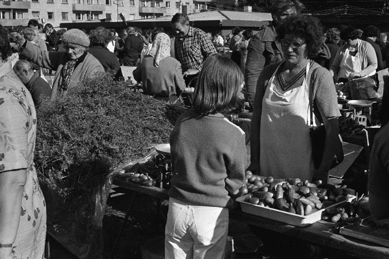 Vaade Tallinna Kolhoositurule.