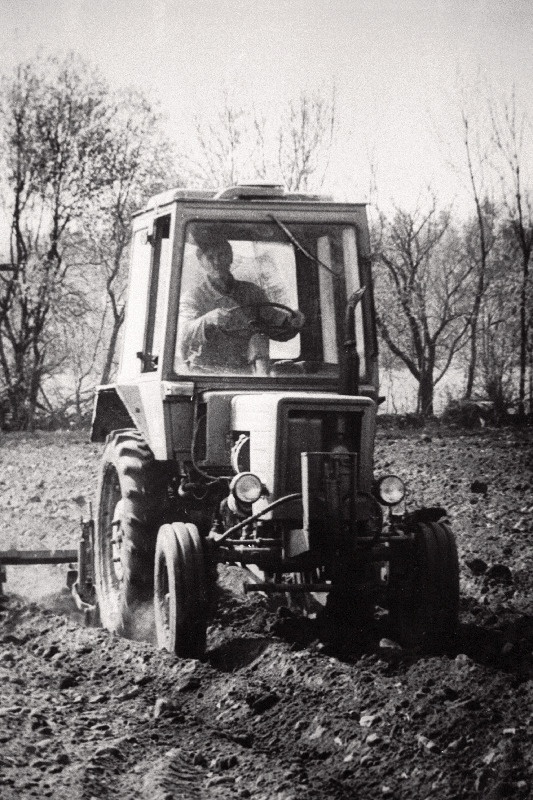 Harjumaal Ohtu külas Saariku talu peremees Erich Alter künnitööl.