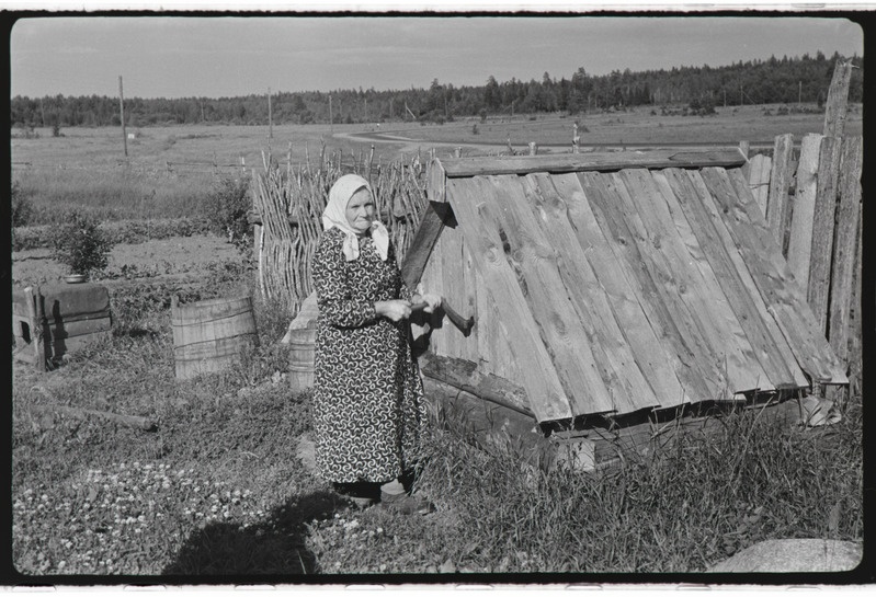 Paul Ariste ekspeditsioon vadjalaste juurde. 3.-8. juuli 1959. a.