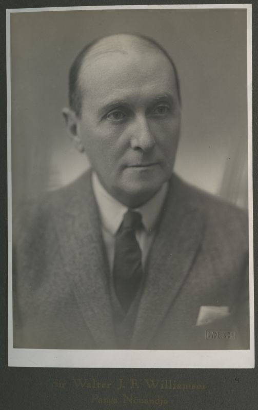 Portree: Sir Walter J. F. Willemson - Eesti Panga nõuandja