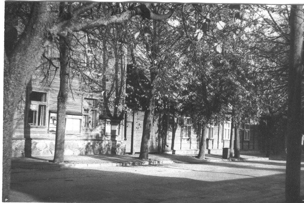 Foto Dr.Fr.R.Kreutzwaldi nimeline Memoriaalmuuseum Kreutzwaldi t.31  1983.a. sügisel.