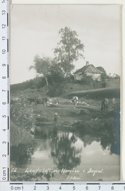 Loodusvaade
