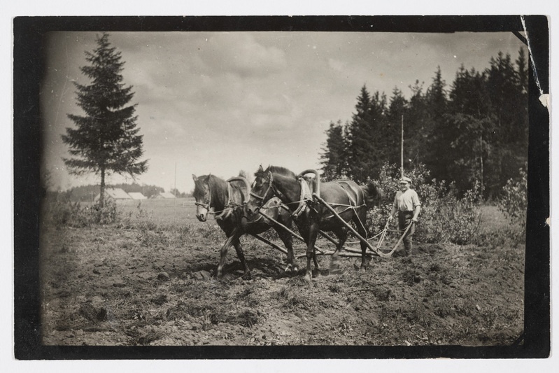 Kündmine Tori kihelkonna Orava talus 1933. a.