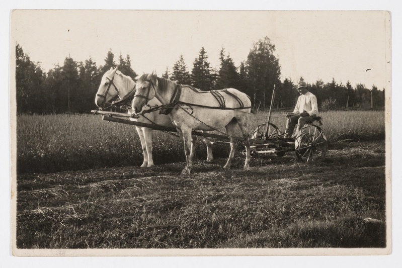 Niidukiga niitmas. 1920.-dad aastad