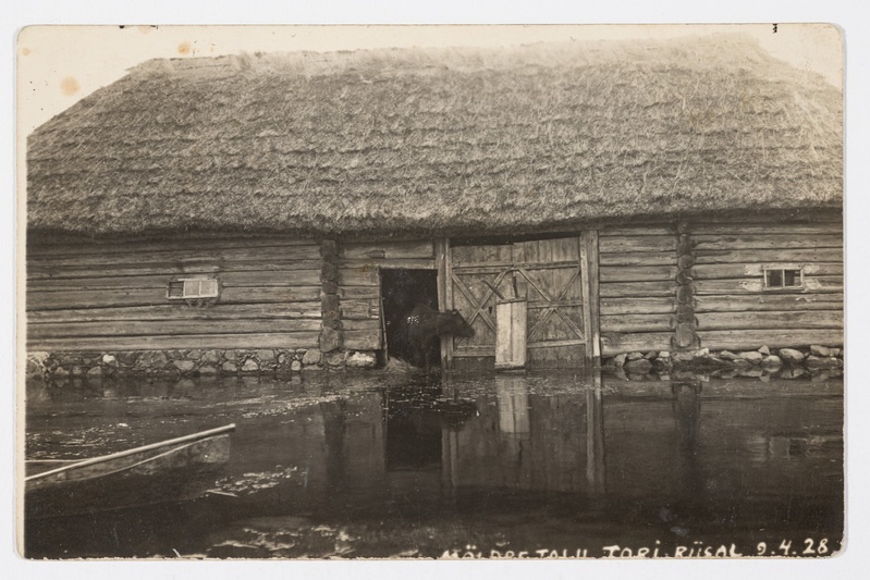 Üleujutus Riisa küla juures 9. aprillil 1928. a.