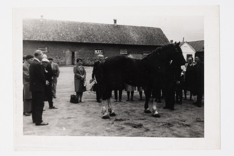 Tori koduloopäeval Tori hobusekasvanduses 1969. a.