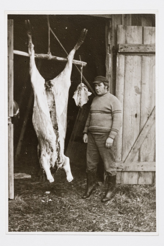 Seatapmine Saueaugu talus