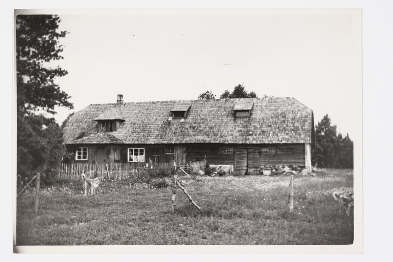 Ennu talu elamu Roigu, nüüd Murru külas