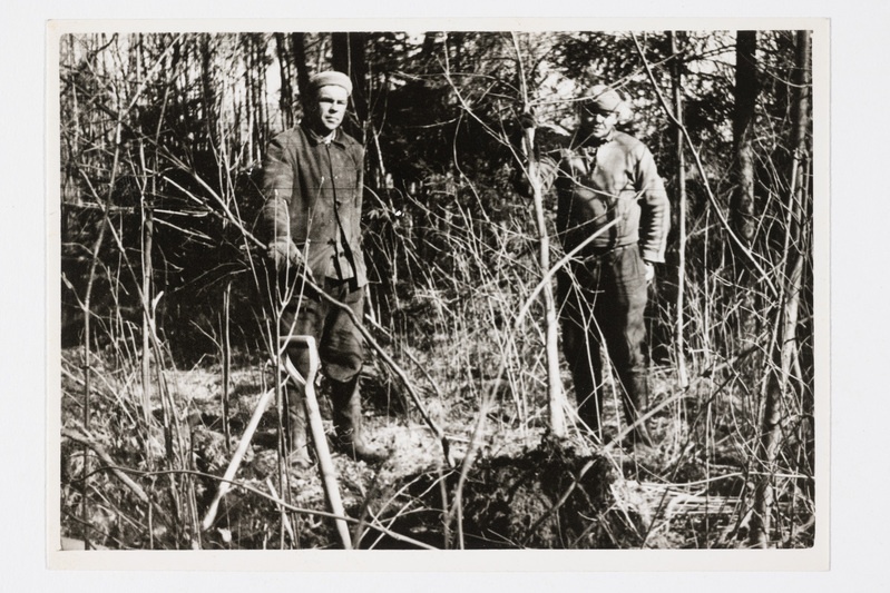 Metsatöölised 1971. a.