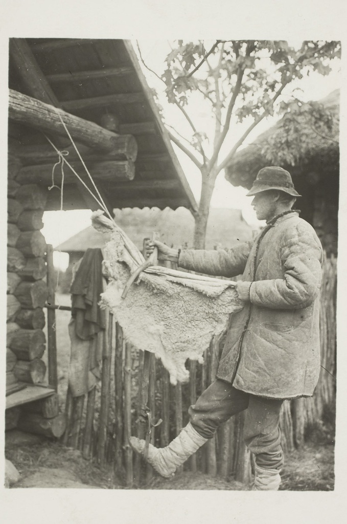 Lambanaha koogutamine, Setumaa, Obinitsa v, Juusa k