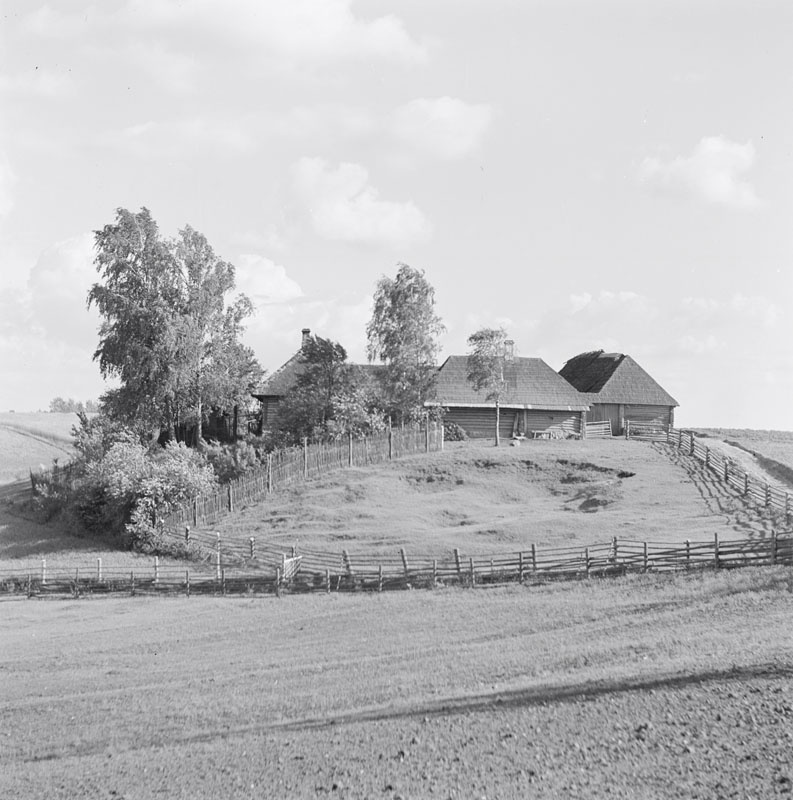 Obinitsa küla