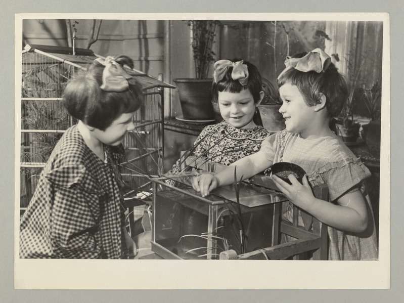 Seeria: "Rahvusvaheliseks lastepäevaks". Moskva kuullaagrite tehase lasteaia loodusenurk.