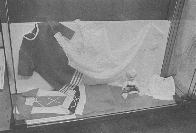 Ajaloomuuseumi näitus Moskvas NSVL Revolutsioonimuuseumis.