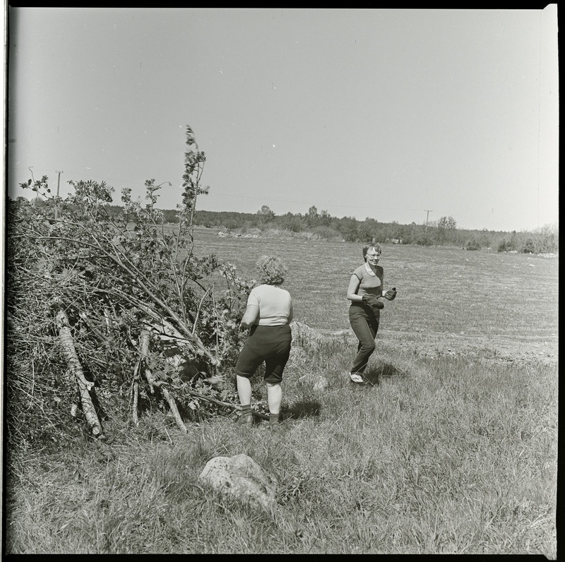 Võsatalgud Muhu maalinnal